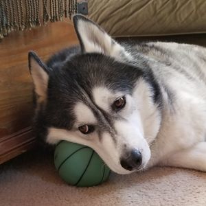 Meet your Posher, Jaime